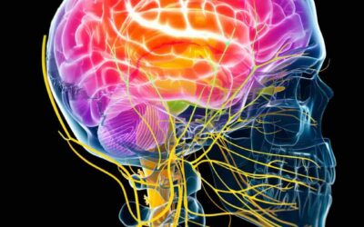 Memory Loss Prevention in Jacksonville: Beyond “Wait and See” with the ReCode Protocol