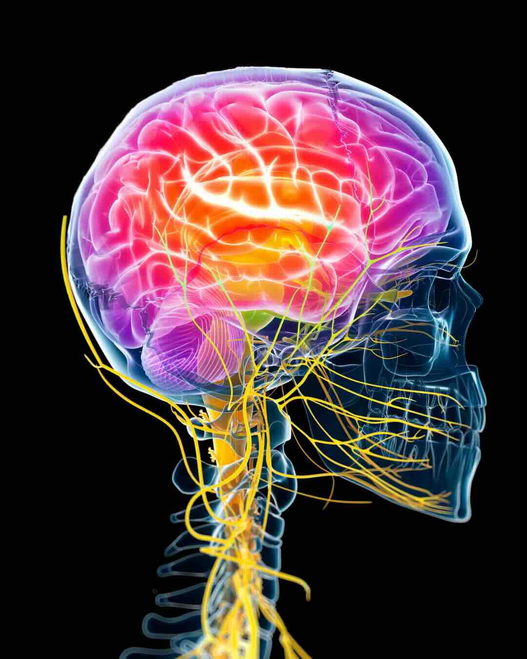 Brain Retraining