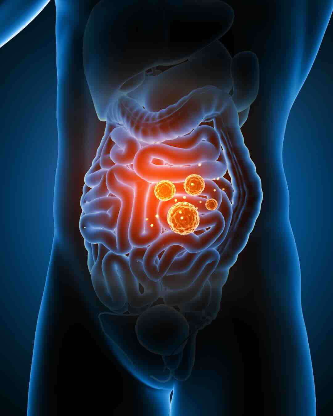 Gut & IBS Doctors